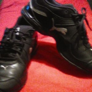 Women's puma shoes